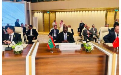 The Minister of Foreign Affairs participates in the meeting of the Arab League Council