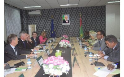 The Minister Delegate to the Minister of Foreign Affairs receives a parliamentary delegation from the European Union
