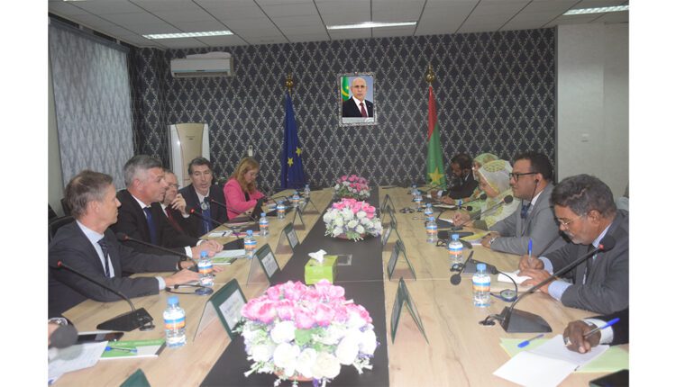 The Minister Delegate to the Minister of Foreign Affairs receives a parliamentary delegation from the European Union