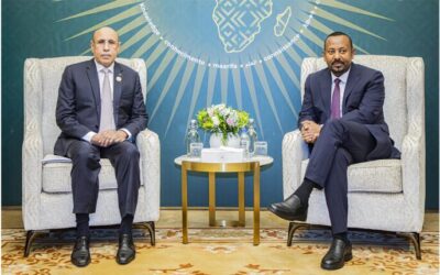 President of Republic, AU Chairman, Meets With Ethiopian Prime Minister