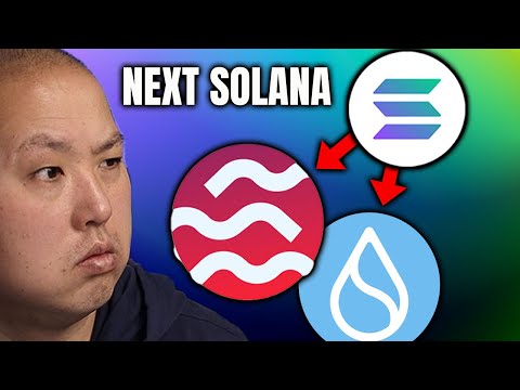 These Crypto Projects Could Be Like Solana in 2024