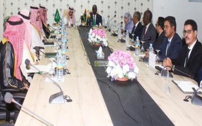 وزير الشؤون الخارجية يعقد جلسة عمل مع وزير الخارجية السعودي