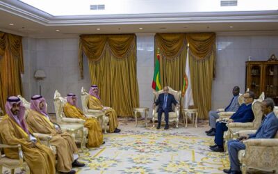 رئيس الجمهورية يستقبل الرئيس التنفيذي للصندوق السعودي للتنمية