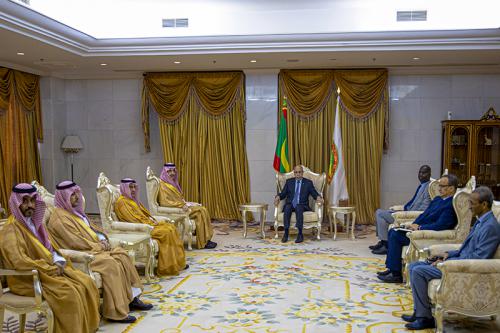 رئيس الجمهورية يستقبل الرئيس التنفيذي للصندوق السعودي للتنمية