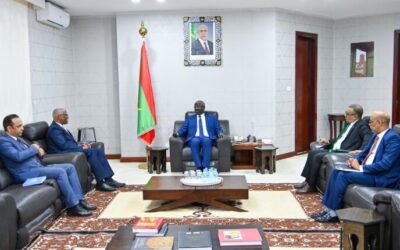 وزير الشؤون الخارجية يستقبل رئيس بعثة الأمم المتحدة في مالي “مينيسما”